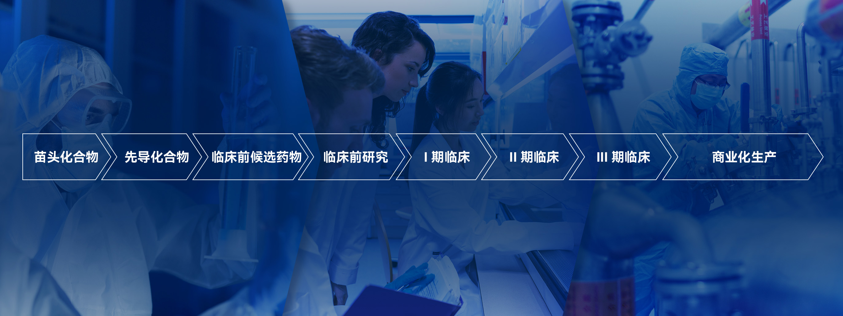  
研  究